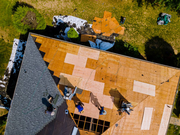 Best Residential Roofing Contractor  in Loyal, WI