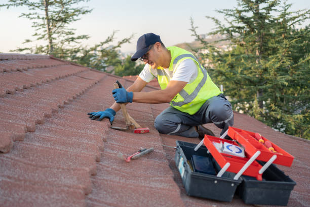 Best Roof Repair Services  in Loyal, WI