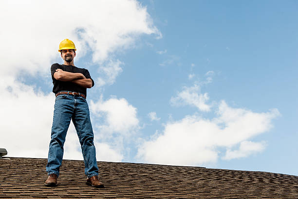 Best Metal Roofing Contractor  in Loyal, WI
