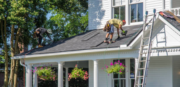 Best Roof Gutter Cleaning  in Loyal, WI